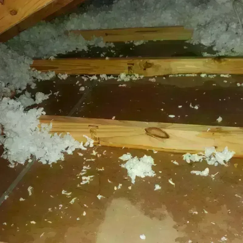 Attic Water Damage in Mountain View, CA