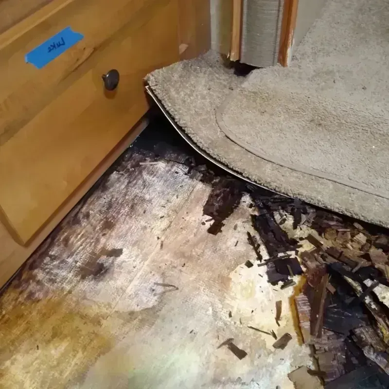 Wood Floor Water Damage in Mountain View, CA